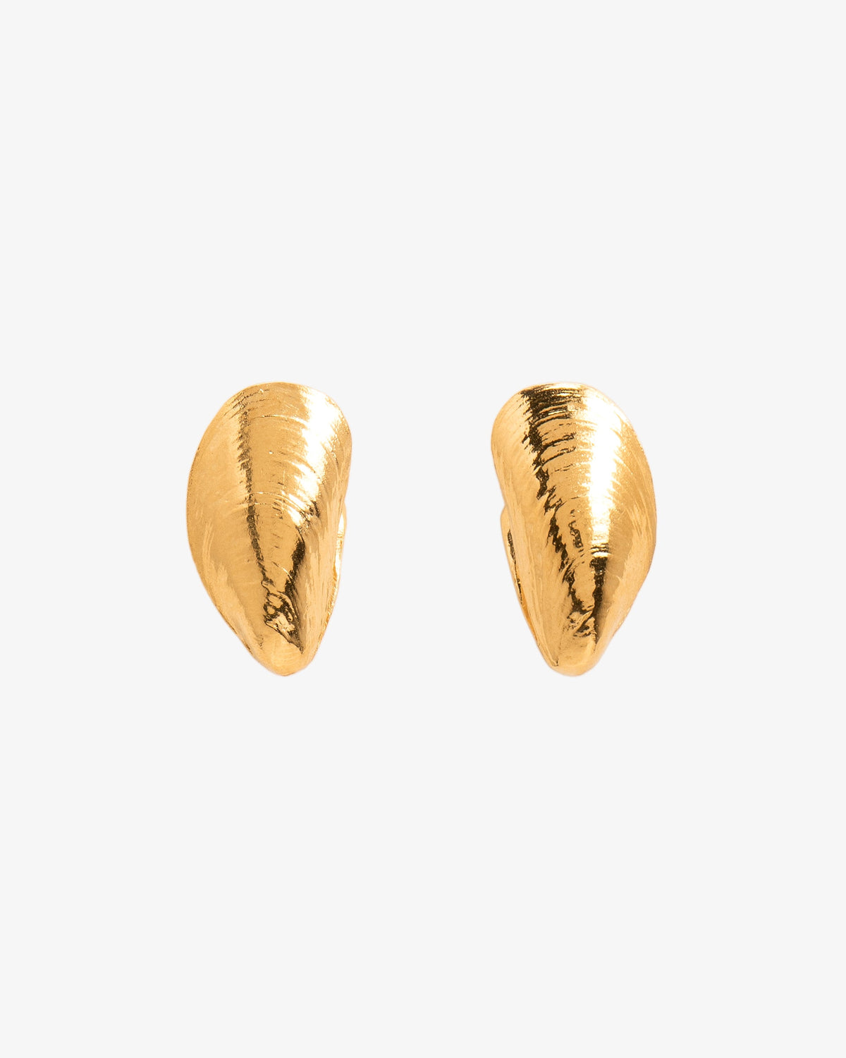 Wouters & Hendrix Mussel Stud Earrings