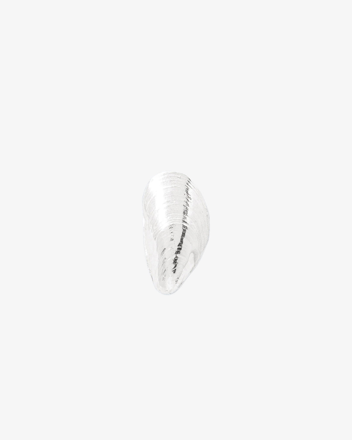 Mussel Stud Single Earring