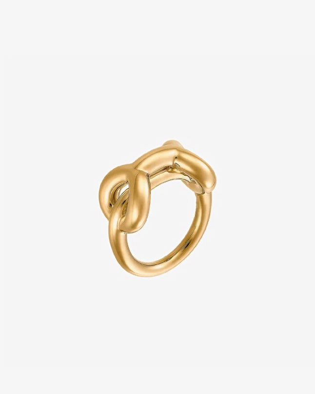 Charlotte Chesnais Binary Chain Ring