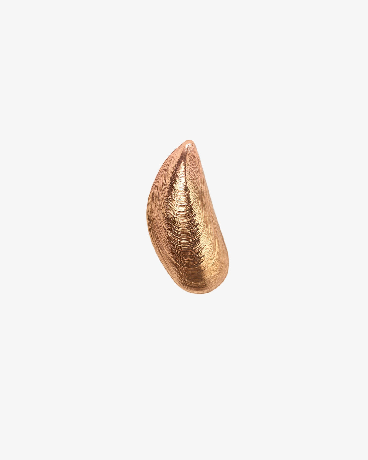 Wouters & Hendrix Mussel Stud Single Earring