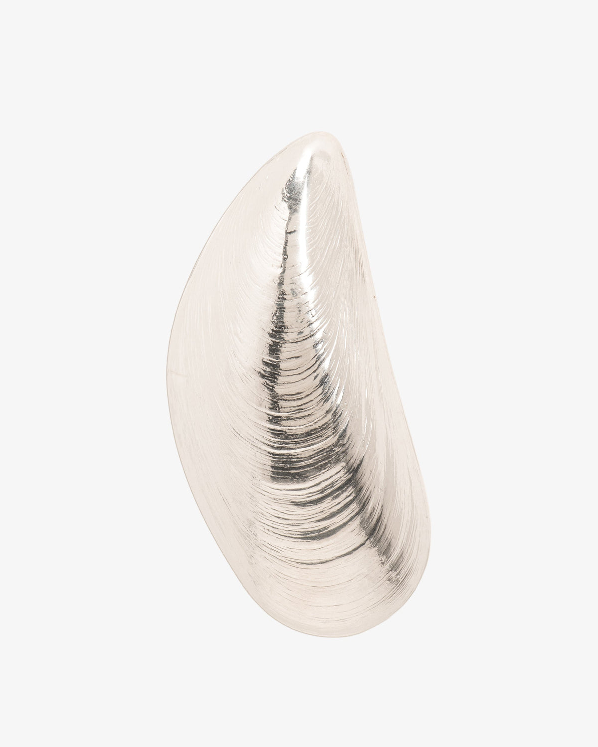 Wouters & Hendrix Mussel Stud Single Earring