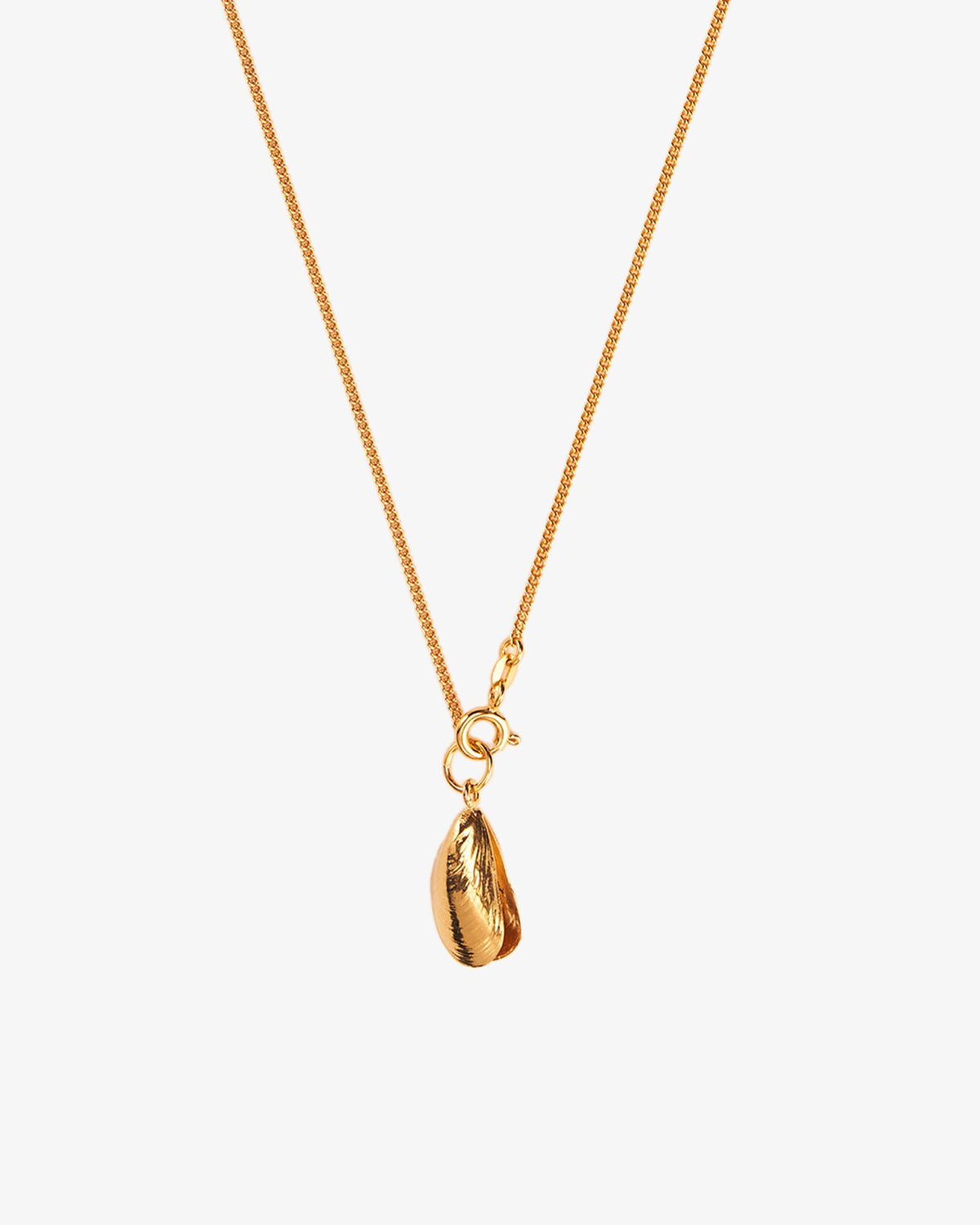 Wouters & Hendrix Mussel Necklace, side view