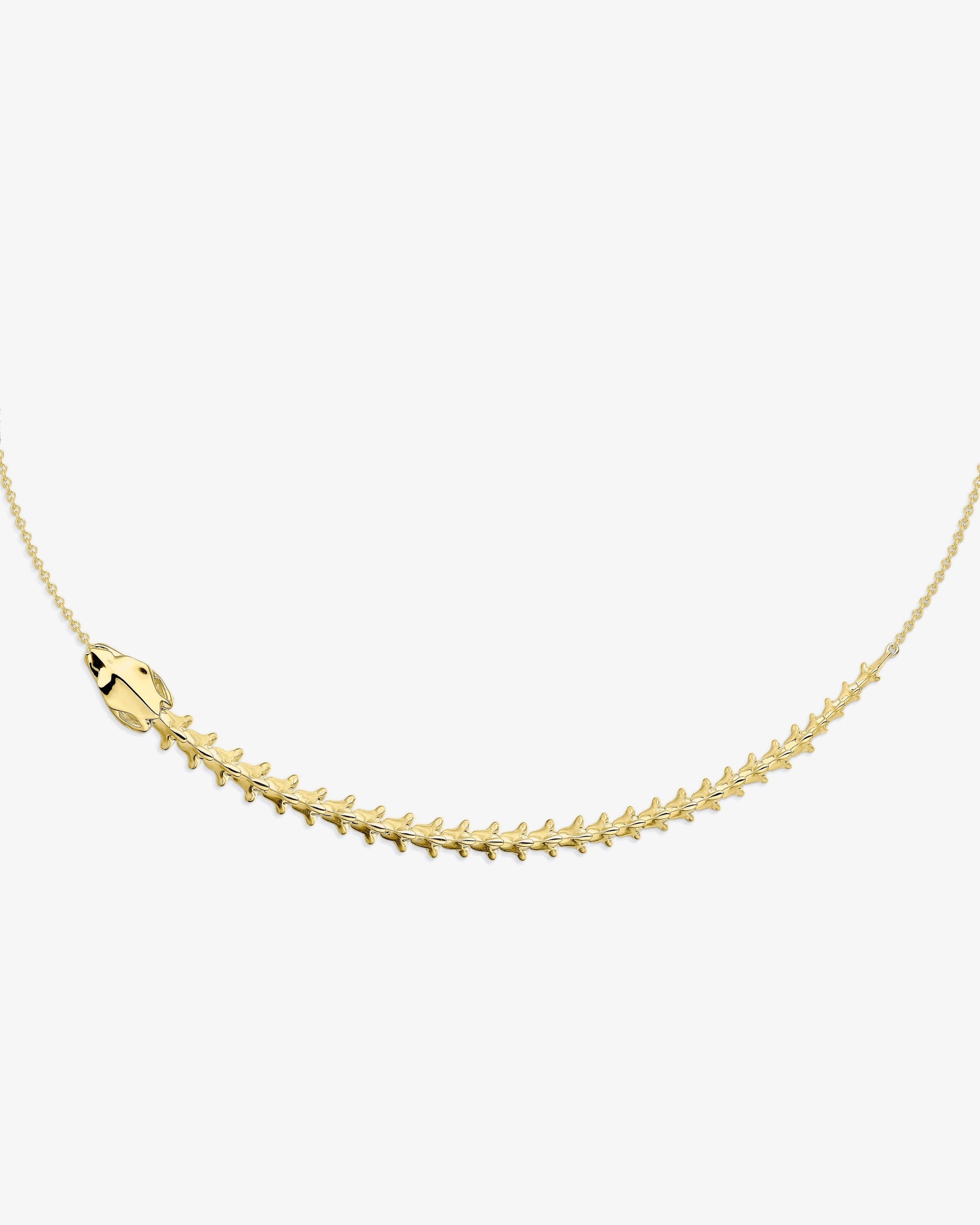 Shaun Leane Serpent's Trace Necklace